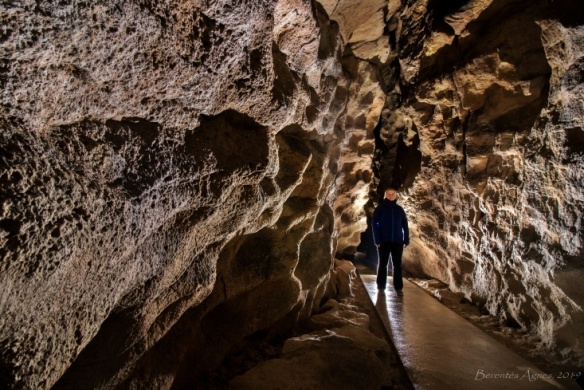 Barlangok hónapja a Duna-Ipoly Nemzeti Parkban 2024