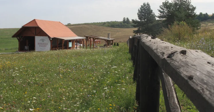 Borókásvölgy Pihenőpark Mályinka