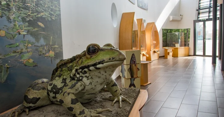 Fekete István Látogatóközpont Kaposvár