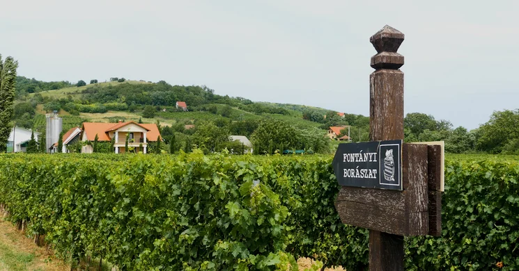 Fontányi Borászat