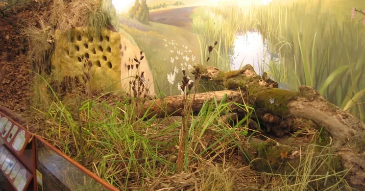 Vízparti Élet Háza Természetvédelmi Oktatóközpont Farmos