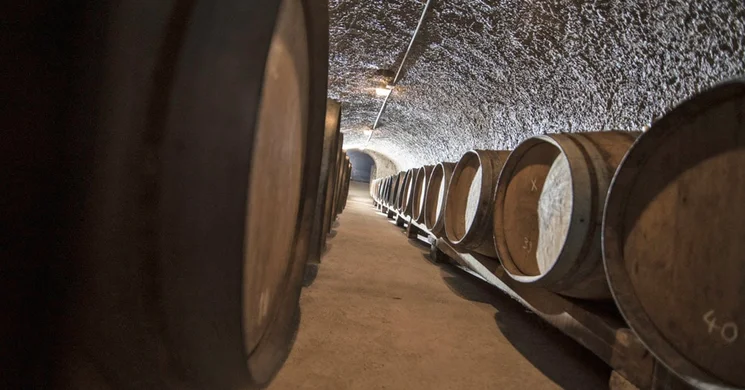 Havas & Timár Pincészet Eger