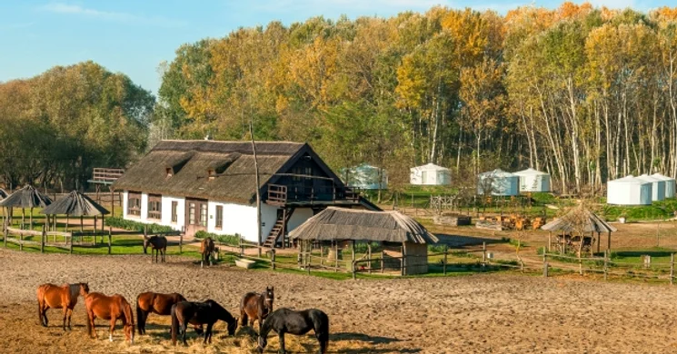 Homoki Lodge Boutique Hotel