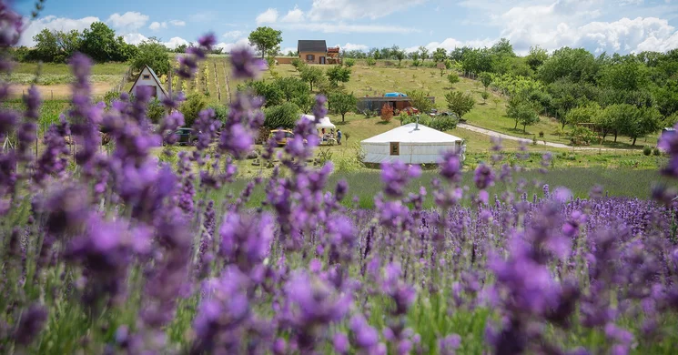 Kincsek Völgye Bálványos