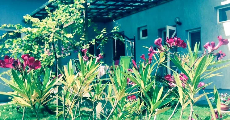 Körösparti Pihenő