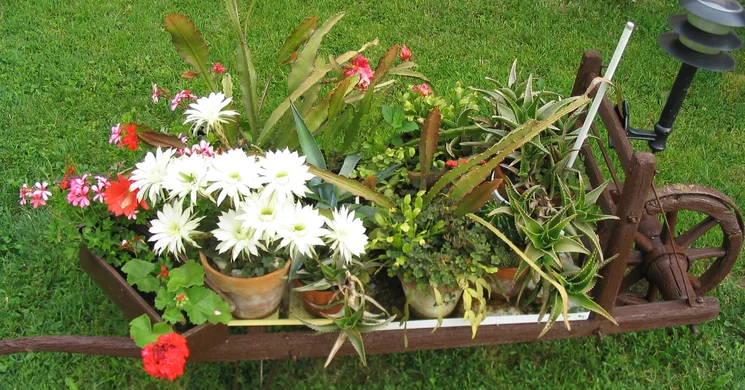 Marika és Nándi Vendégváró Újpetre