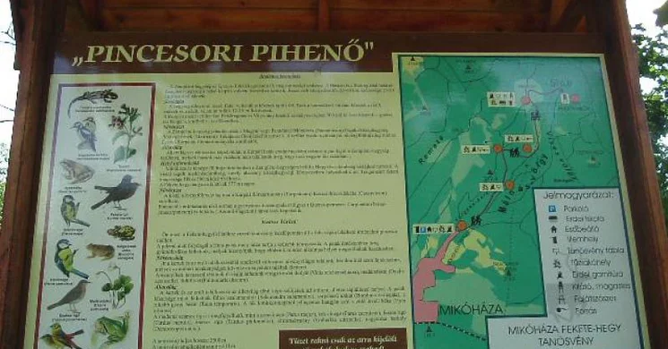 Fekete-hegyi tanösvény Mikóháza