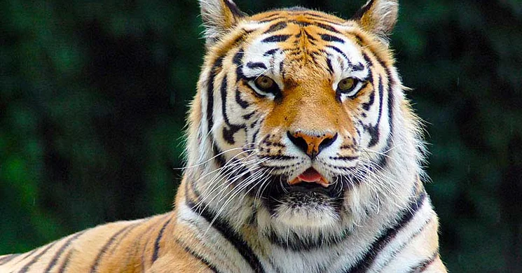 Miskolci Állatkert és Kultúrpark programok 2025 / 2026