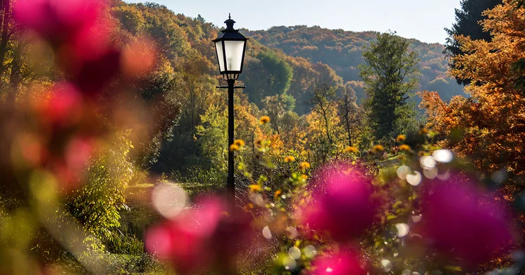 Püspökszentlászlói kastély és arborétum