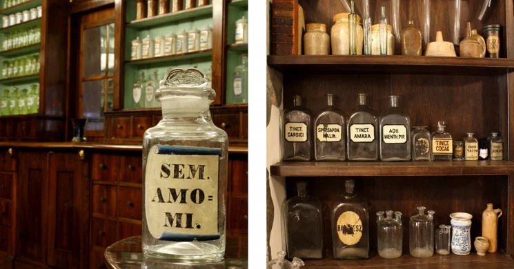 Semmelweis Orvostörténeti Múzeum, Könyvtár és Levéltár