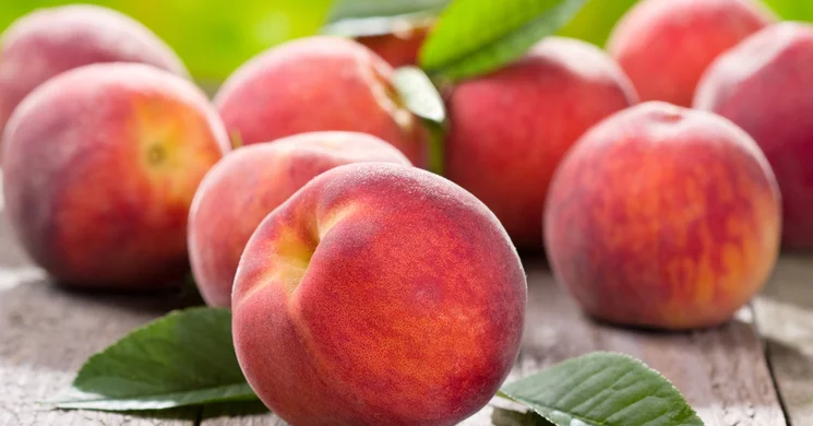 Barackvirág Farm Székesfehérvár-Csala