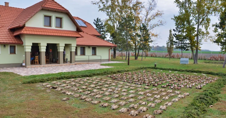 Szarvasi Arborétum Vadásztársaság Szarvas