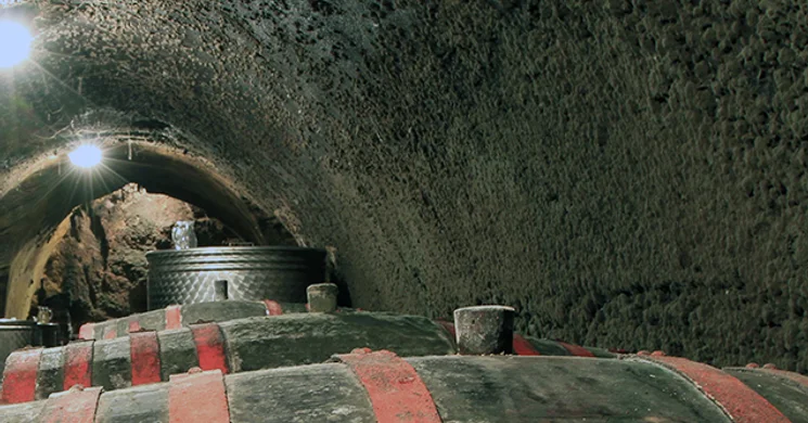 Borostyán Pince Sukoró