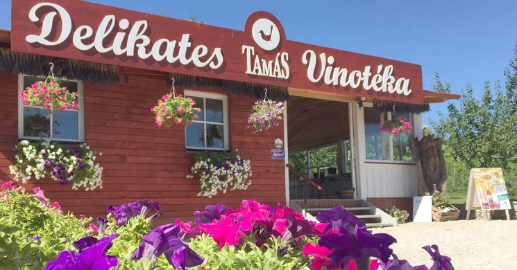 Tamás vinotéka és delikátesz