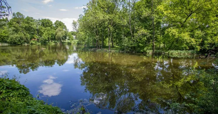 Tengelici arborétum Benyovszky-park