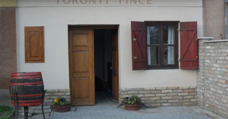Toronyi Pince Szekszárd