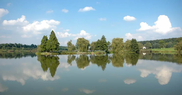 Nagykanizsai Parkerdő Erdei Tornapálya