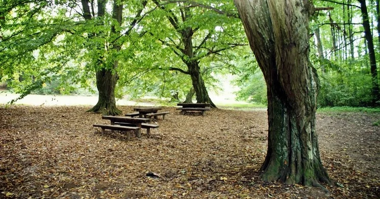 Miklósfai Arborétum