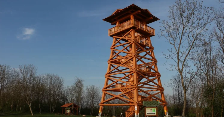 Bati-kereszt-kilátó Szekszárd