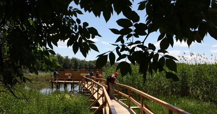 Forgó-tavi tanösvény