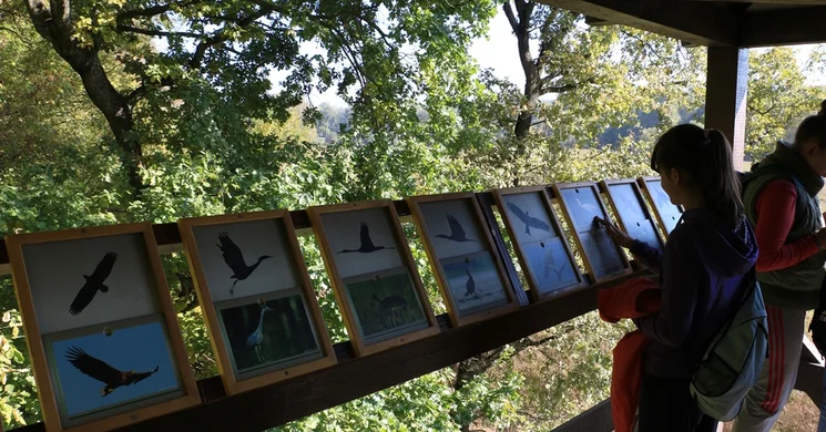 Molnárka tanösvény