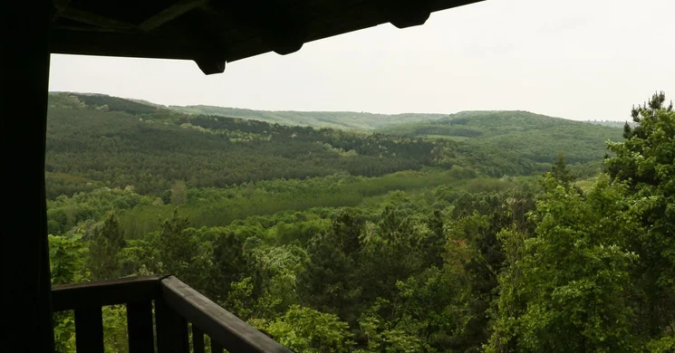 Sötétvölgyi tanösvény