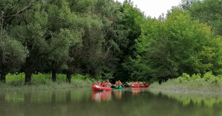 Vízitúra Gemenc 2025. Ártérleső vízitúrák