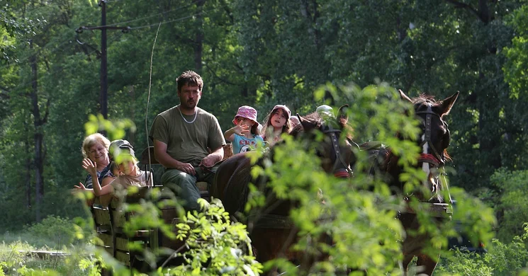 Gyereknap Gemenc 2025. Családi programok a pörbölyi Ökoturisztikai Központban