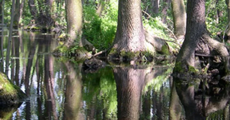 Betyárdombi tanösvény, családi kirándulás a Kiskunságban, a Turjánvidéken