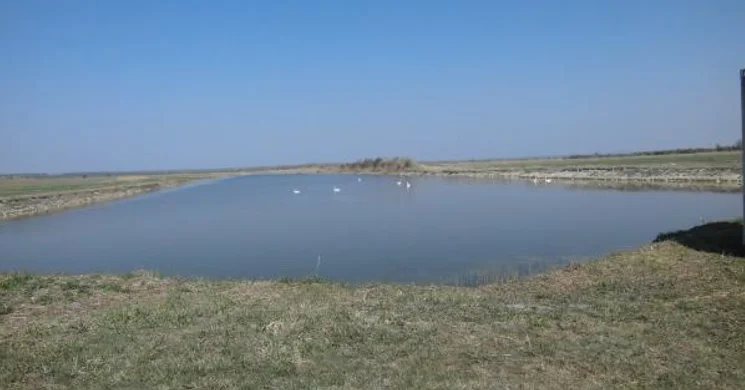 Sárszentmihályi Bányatavak