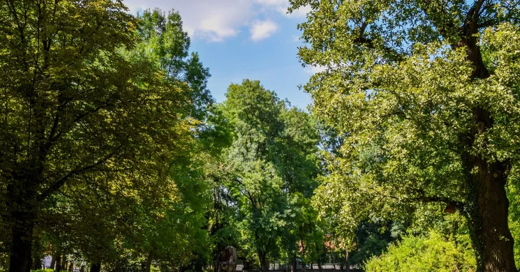 Felső-Bácska-Homokhát Natúrpark