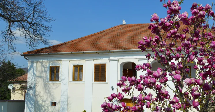 Bagolyvár Pincészet & Vendégház