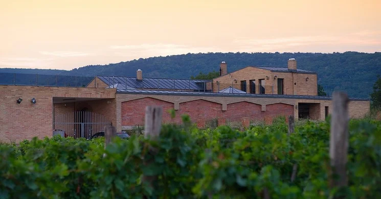 Bíbor Birtok Siklós