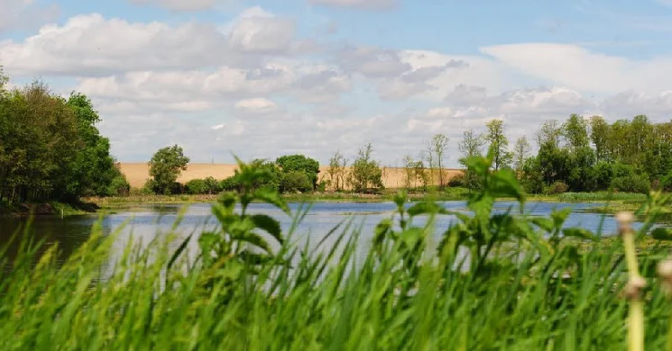 Bontovai Horgásztó