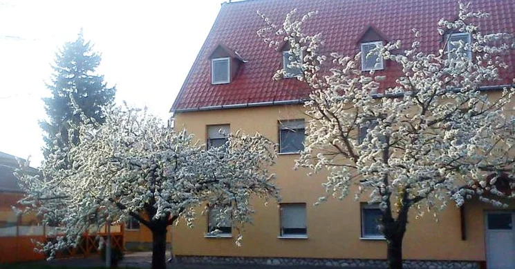 Fenyő Panzió Mezőkövesd