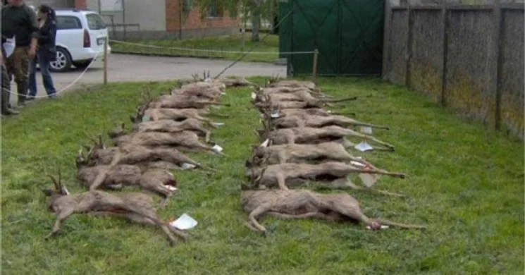 Füzesgyarmati Vadászház