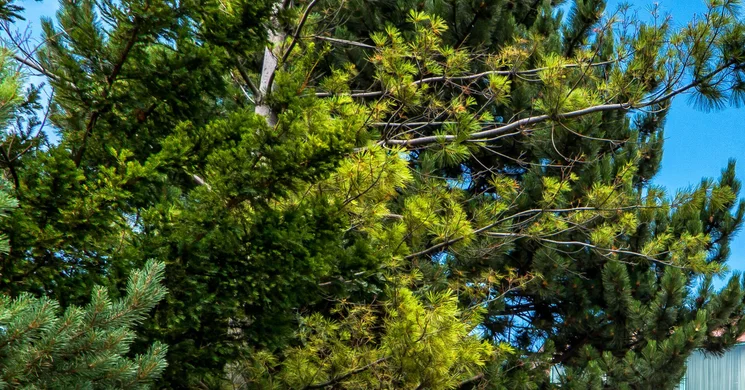 Holiday Inn**** Budapest - Budaörs