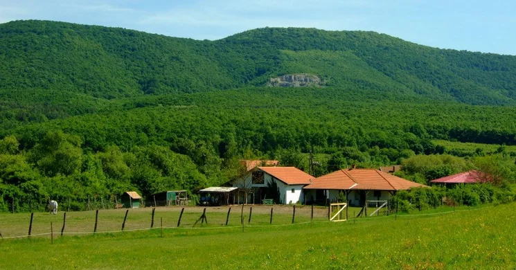 Karap Tanya Felsőtárkány