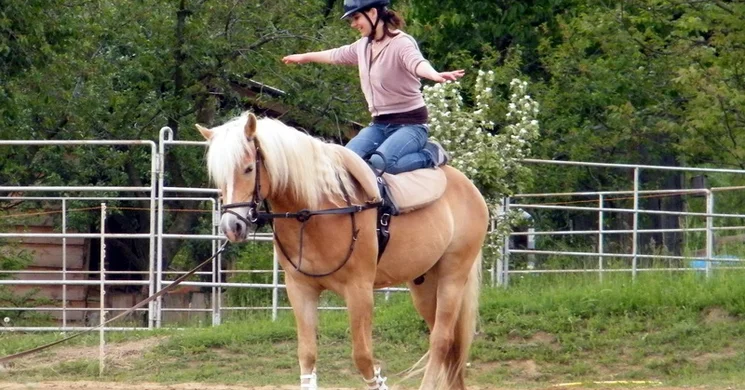 Kapcsolat Lovasterápia és Tréning Központ Pilisszántó
