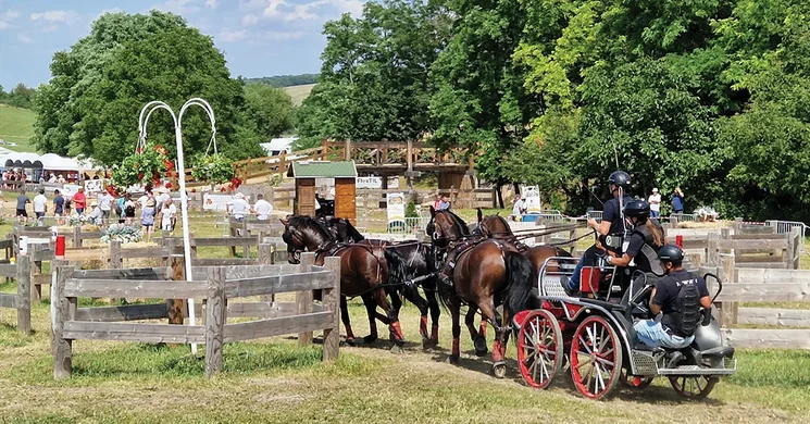 Fogathajtó Verseny Szilvásvárad 2025