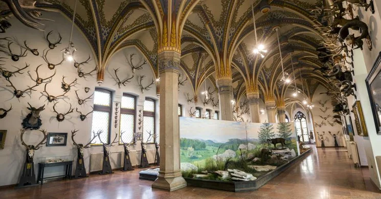 Magyar Mezőgazdasági Múzeum és Könyvtár