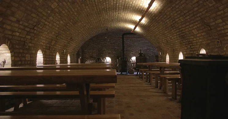 Nyári Pince Hegymagas