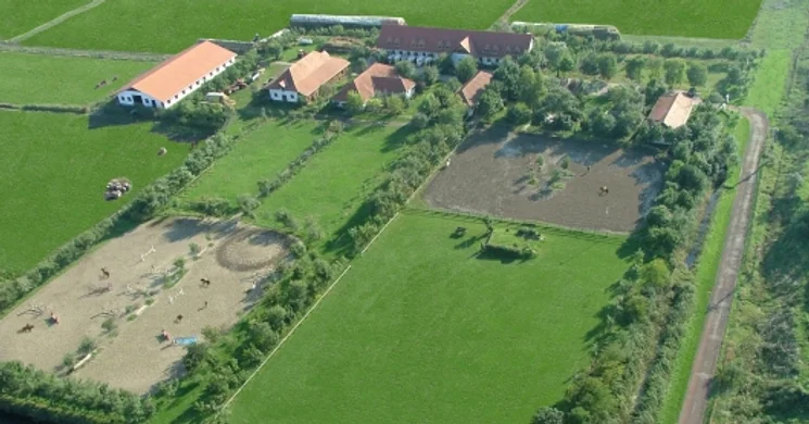 Pegazus Lovas Iskola Békéscsaba