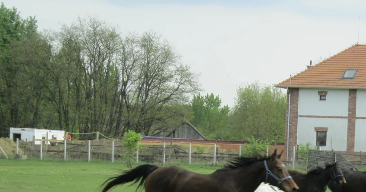 Sóstói Lovasklub Turistaház