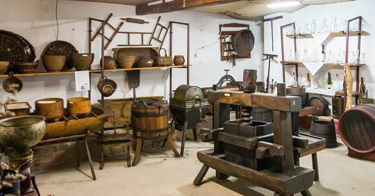 Steigervald Tanya Gyula