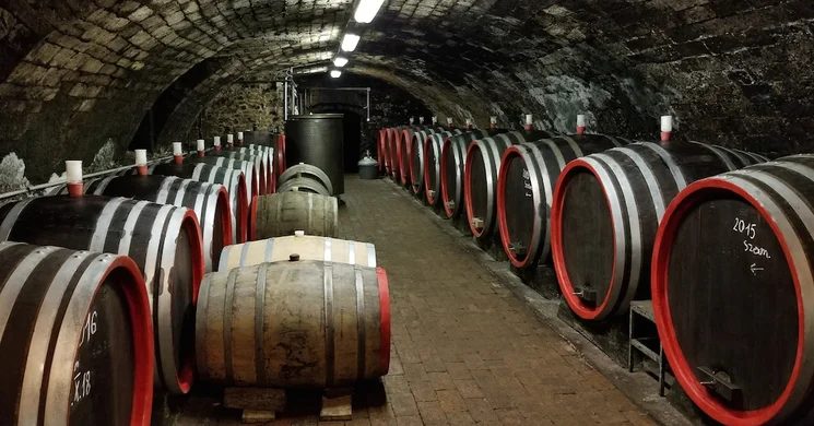 Tokaj Classic borászat Mád