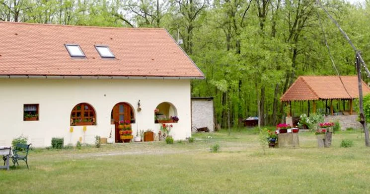 Tulipános Tanya Vasad