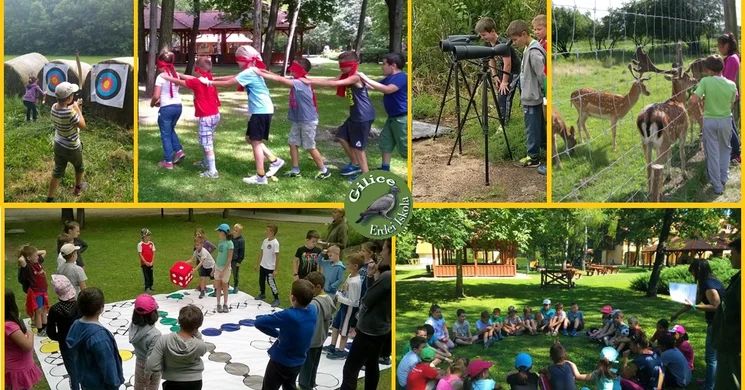 Gilice Erdészeti Erdei Iskola és Óvoda