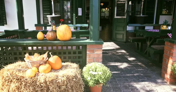 Véndiófa Csárda Bocskaikert