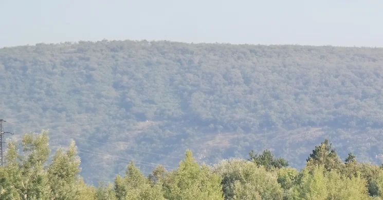 Fenyves-tavi pihenőpark